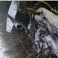 Piloto morre carbonizado após avião cair e pegar fogo em zona rural imagem