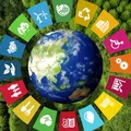 Pontos cegos na pesquisa global de sustentabilidade imagem