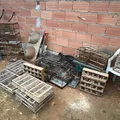 Mais de 370 pássaros são resgatados em ação contra tráfico na Bahia imagem