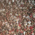 Com Bamor fora, torcida do Vitória se junta à Seleção na Copa; entenda imagem