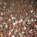 Vitória lança promoção de ingressos para estreia na Copa do Nordeste; veja valores imagem