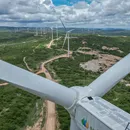 Bahia entra na corrida global das terras raras com projetos e industrialização