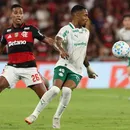 Flamengo x Palmeiras: entenda as polêmicas e saiba como foi a partida