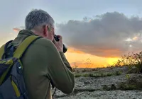 Bahia vira vitrine global para observação de aves e atrai turistas de 40 países