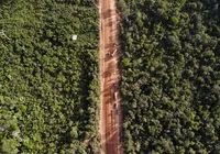 BR-319: Governo libera obras na Amazônia e enfrenta pressão ambiental