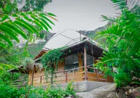Chapada Diamantina conquista direito ao cultivo de Cannabis medicinal imagem