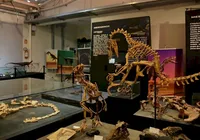 Cidade pequena do Brasil guarda dinossauros mais antigos do mundo imagem