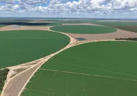 Cidades agrícolas: a tecnologia que move as gigantes do Matopiba