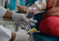 Doadores de sangue e medula óssea podem ganhar meia-entrada na Bahia