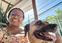 Fuga de pet: plaquinha, microchip ou rastreador é o mais seguro?