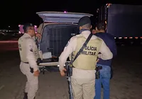 Integrante do PCC em Goiás é preso com RG falso em ônibus na Bahia imagem