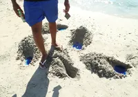 Líquido colorido surge em praia de Salvador e mata peixes; saiba o que é imagem