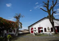 MAM recebe oficina de grafite e rodas de conversa gratuitas em abril