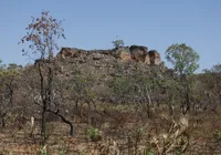 Mercado de carbono no Matopiba pode movimentar US$ 1 bilhão e transformar o Cerrado