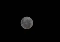 "Lua Cheia das Flores" ocorrerá em 1º de maio; entenda significado imagem