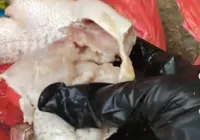 Moradores de Ilhéus denunciam entrega de peixe podre pela Prefeitura imagem