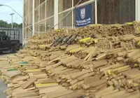 Quase 50 toneladas de maconha são apreendidas em bunker improvisado imagem