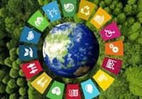 Pontos cegos na pesquisa global de sustentabilidade imagem