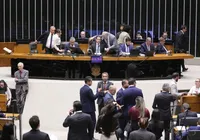 Quantos votos um deputado federal precisa para se eleger na Bahia? imagem