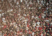Com Bamor fora, torcida do Vitória se junta à Seleção na Copa; entenda imagem