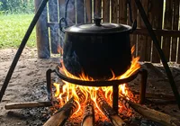 Uso de fogão a lenha pode render R$ 10 mil em multa; saiba motivo