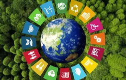 Pontos cegos na pesquisa global de sustentabilidade - Imagem