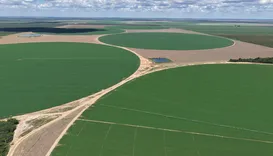 Cidades agrícolas: a tecnologia que move as gigantes do Matopiba