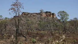 Mercado de carbono no Matopiba pode movimentar US$ 1 bilhão e transformar o Cerrado