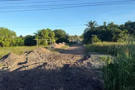 Disputa familiar põe em risco área de proteção ambiental na Bahia - Imagem