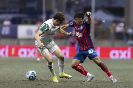 Bahia e Palmeiras formam duelo dos times com menos derrotas da Série A - Imagem