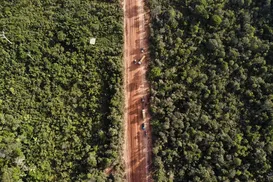 BR-319: Governo libera obras na Amazônia e enfrenta pressão ambiental - Imagem