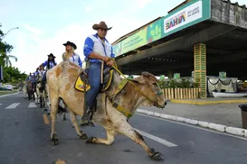 Calendário agro na Bahia terá mais de 40 eventos em 2026; veja lista - Imagem