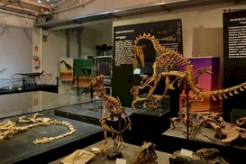 Cidade pequena do Brasil guarda dinossauros mais antigos do mundo - Imagem