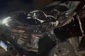 Deputado baiano sofre grave acidente na BA-210 após carro bater em animal - Imagem