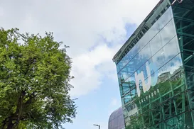 Hub Salvador firma parceria com uma das maiores investidoras do Brasil - Imagem