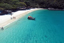 Fenômeno raro transforma praia brasileira em espetáculo natural - Imagem