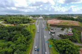 Feriadão de Tiradentes: veja como evitar trânsito em rodovias baianas - Imagem