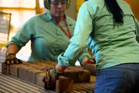 Fim da escala 6x1: Leo Prates defende jornada de 40 horas e limite de 5 dias de trabalho - Imagem