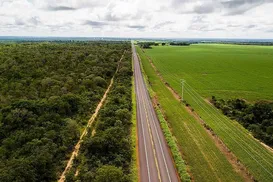 Investimento em mobilidade impulsiona escoamento de grãos no Matopiba - Imagem