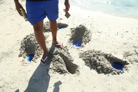 Líquido colorido surge em praia de Salvador e mata peixes; saiba o que é - Imagem