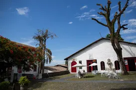 MAM recebe oficina de grafite e rodas de conversa gratuitas em abril - Imagem
