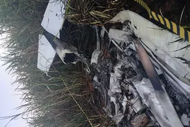 Piloto morre carbonizado após avião cair e pegar fogo em zona rural - Imagem