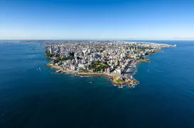 Rota São Paulo-Bahia lidera maior fluxo de passageiros da história - Imagem