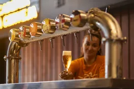 Curso gratuito para mulheres no setor cervejeiro; confira detalhes - Imagem