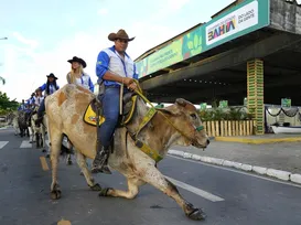 Calendário agro na Bahia terá mais de 40 eventos em 2026; veja lista - Imagem