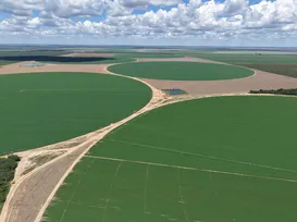 Cidades agrícolas: a tecnologia que move as gigantes do Matopiba - Imagem