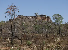 Mercado de carbono no Matopiba pode movimentar US$ 1 bilhão e transformar o Cerrado - Imagem