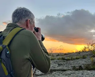 Bahia vira vitrine global para observação de aves e atrai turistas de 40 países