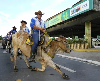 Calendário agro na Bahia terá mais de 40 eventos em 2026; veja lista