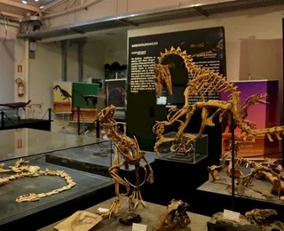Cidade pequena do Brasil guarda dinossauros mais antigos do mundo